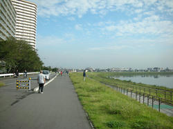 20081011-008.jpg