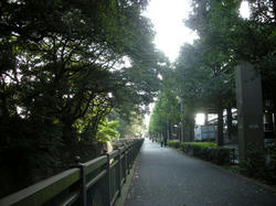 20081015-013.jpg