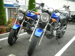 20081025-002.jpg