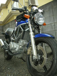 20081106-009.jpg