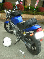 fc21d510.jpg