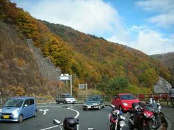 d44893c5.jpg
