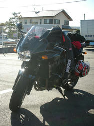 54bd4339.jpg