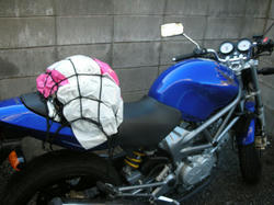 20081227-007.jpg
