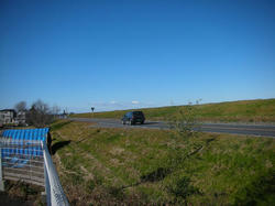 87a6bfab.jpg