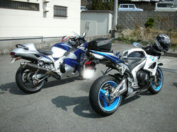 f7e971d5.jpg