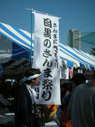 3bfd3a11.jpg