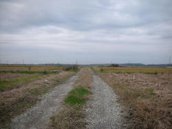 4689dda3.jpg