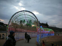 6d5f87c4.jpg