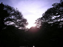 550a28d9.jpg