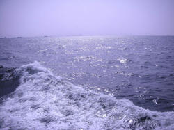 53c5ae00.jpg