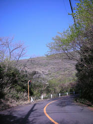 51435e3b.jpg
