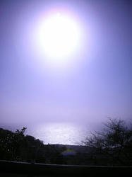 b9b59e72.jpg