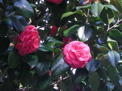 54065f16.jpg