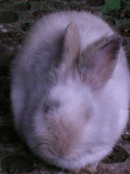 1ccba027.jpg