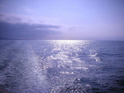a2f57a99.jpg