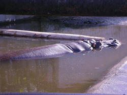 21b6997c.jpg