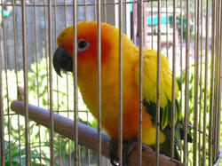 3aa676d3.jpg
