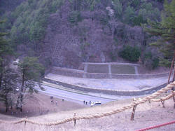 8d647ed8.jpg