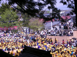 d57d9f75.jpg