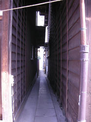 12361e56.jpg