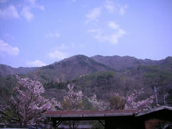 e0ba2299.jpg