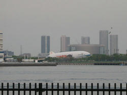 20100509WCS-036.jpg