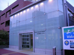20100509WCS-049.jpg