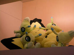 20100509WCS-066.jpg