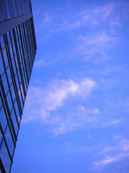 20100509WCS-064.jpg