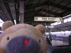2bc57a09.jpg