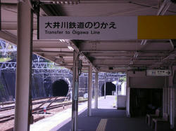 262ffccd.jpg