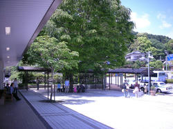 d018c627.jpg