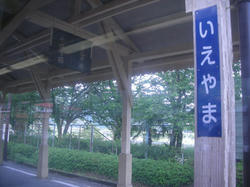72228997.jpg