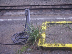 1e228104.jpg