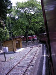 1268e01e.jpg