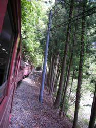 133b697d.jpg
