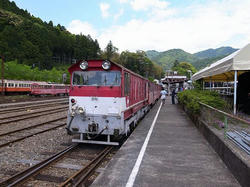 R0011924.jpg