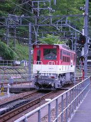 28797247.jpg