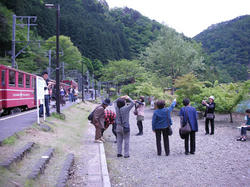 d439a0d7.jpg