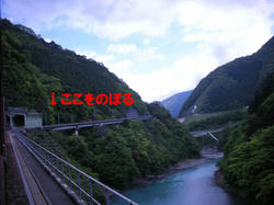 bf0bca03.jpg
