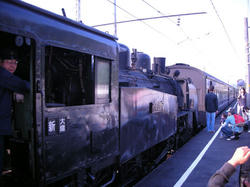 3a184948.jpg