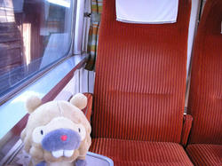 33669e16.jpg