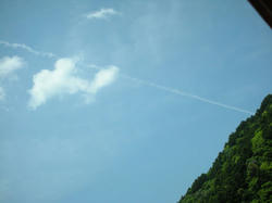 c5b24003.jpg