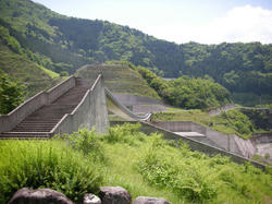 c2009f74.jpg
