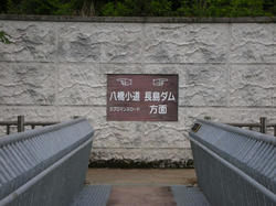 8ad04a38.jpg