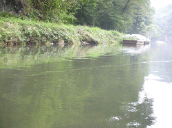 20100921-037.gif