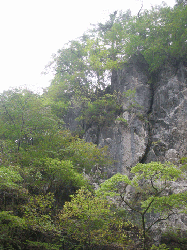 20100921-052.gif