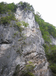 20100921-061.gif