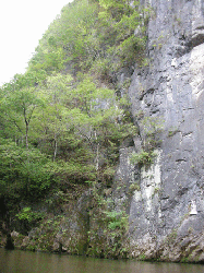 20100921-062.gif
